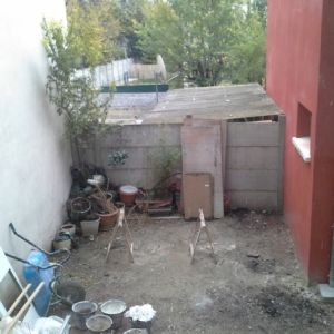 Mini jardin terrasse Montreuil 1
