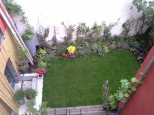 Mini jardin terrasse Montreuil 10