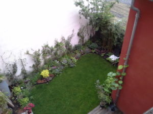 Mini jardin terrasse Montreuil 11