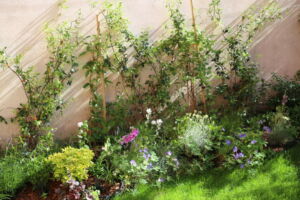 Mini jardin terrasse Montreuil 13