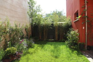 Mini jardin terrasse Montreuil 14