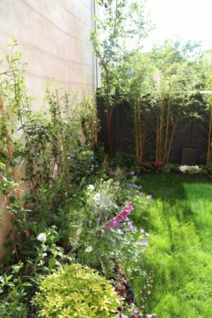 Mini jardin terrasse Montreuil 17