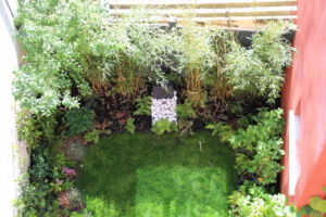 Mini jardin terrasse Montreuil 19