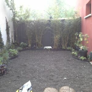Mini jardin terrasse Montreuil 3