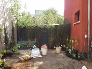 Mini jardin terrasse Montreuil 5