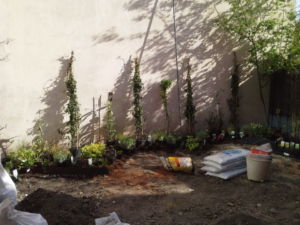 Mini jardin terrasse Montreuil 7