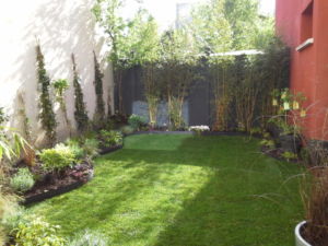 Mini jardin terrasse Montreuil 9