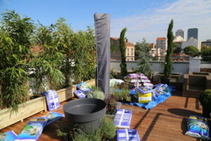 Toit terrasse Montreuil 6